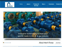 Tablet Screenshot of intechpumps.com